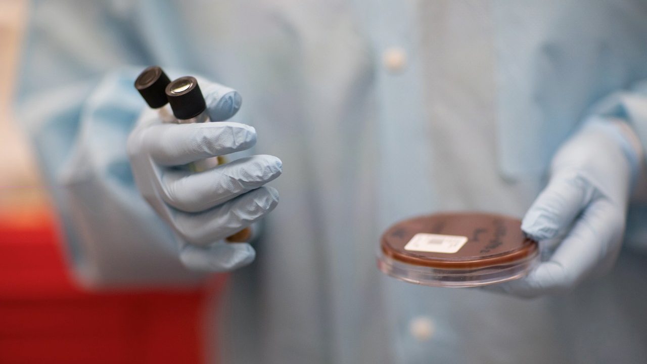 Researchers holding petri dish in hopes of unlocking clues about antibiotics resistance