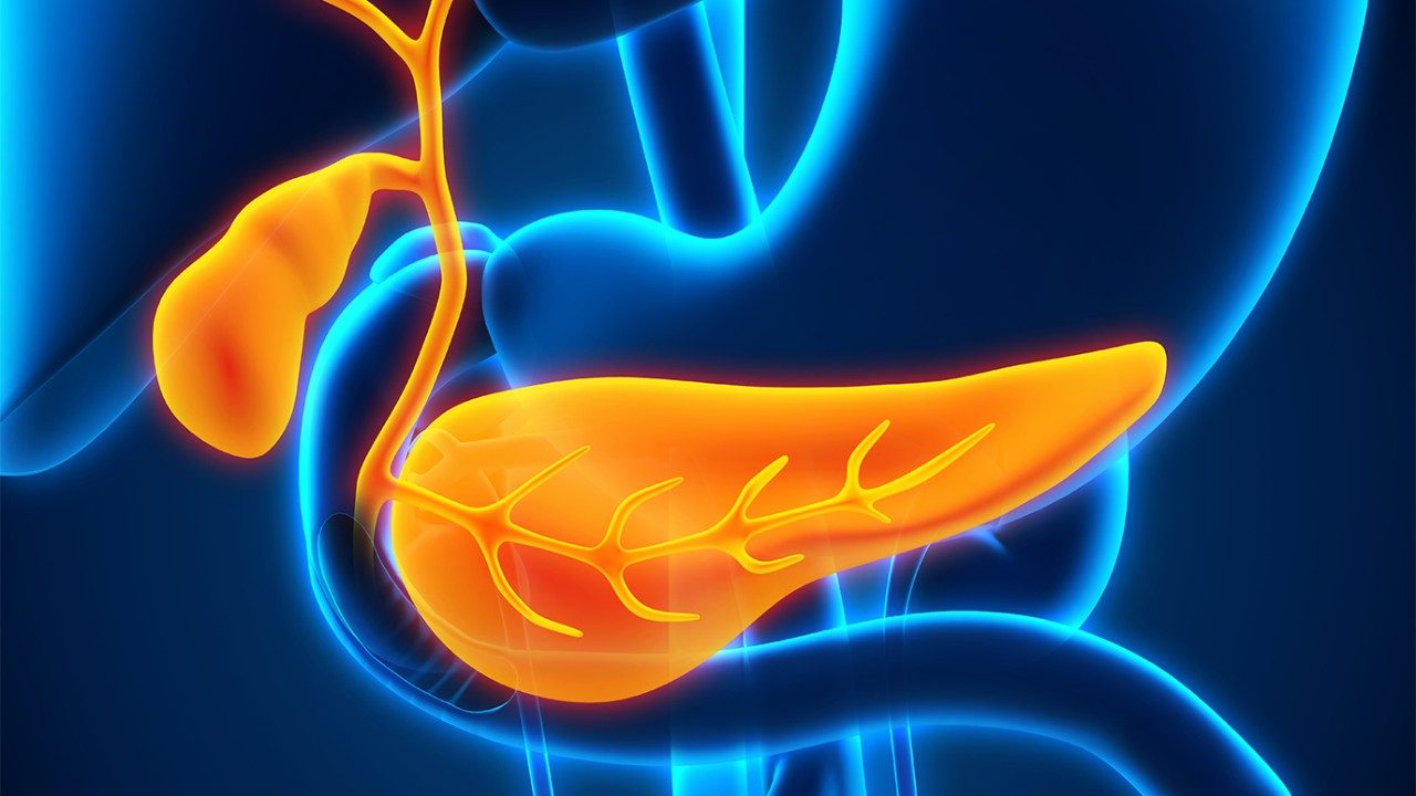 3D illustration of the pancreas and gallbladder