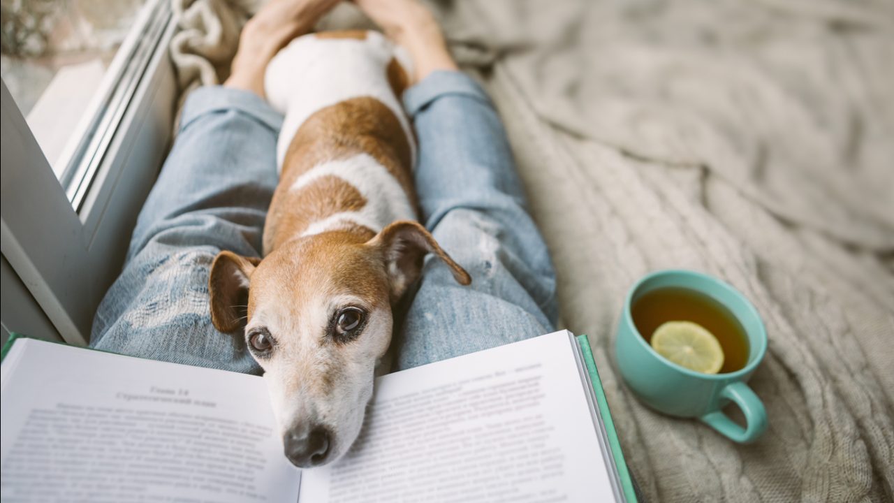Woman rests with dog on her lap